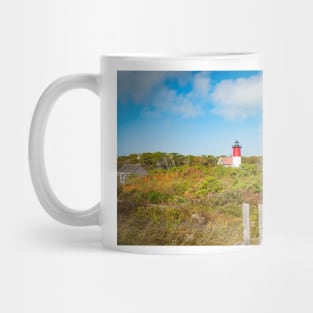 Nauset Beach,  Seashore and lighthouse. Cape Cod, USA.  imagine this on a  card or gracing your room as wall art fine art canvas or framed print on your wall Mug